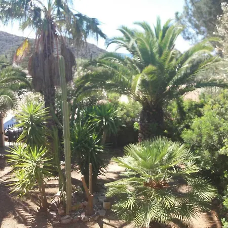 Giardone *